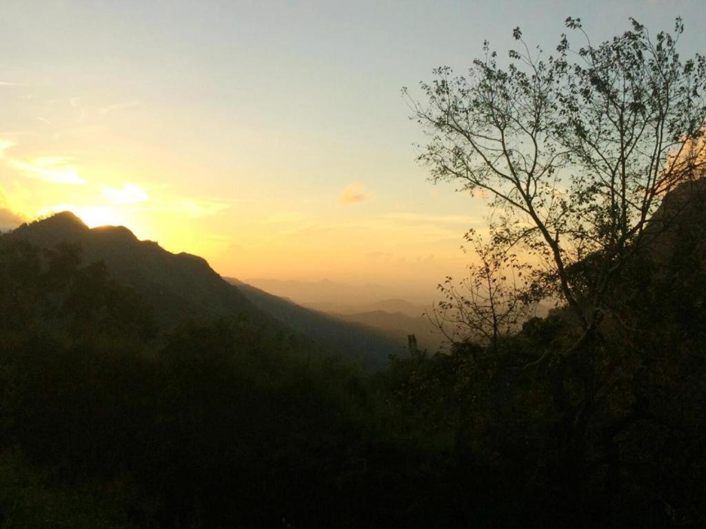 Minthu Homestay Ella Buitenkant foto