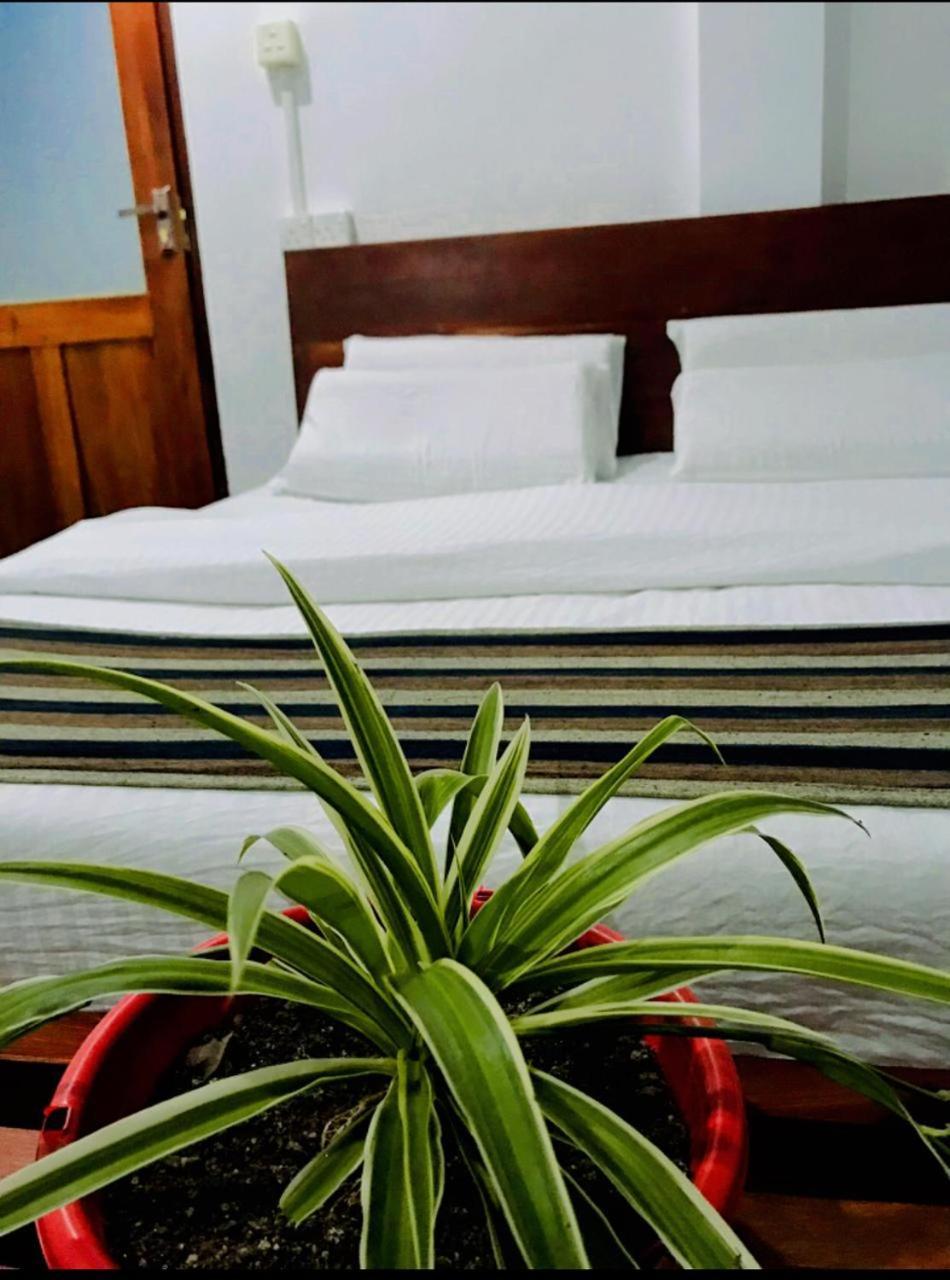 Minthu Homestay Ella Buitenkant foto