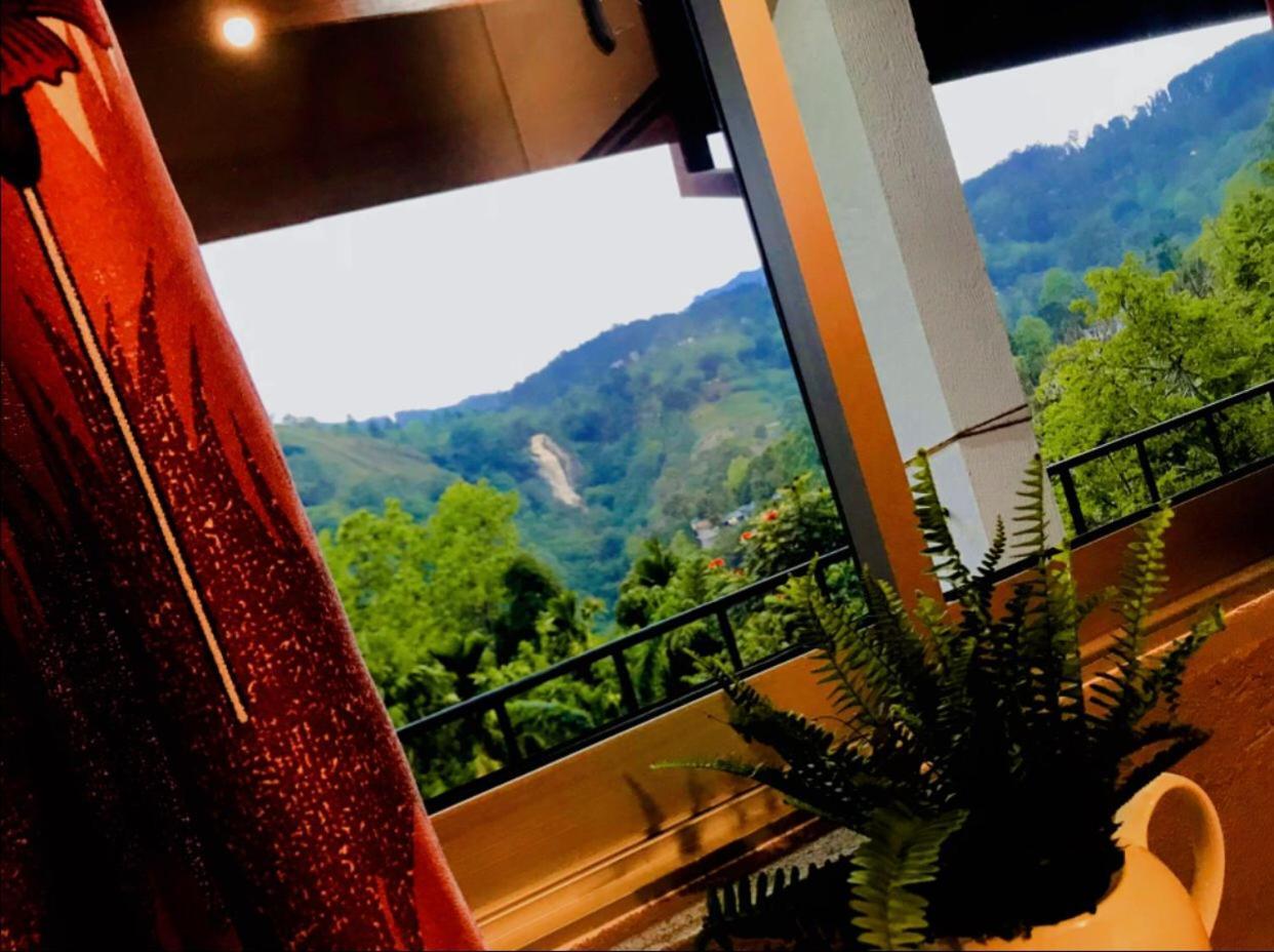 Minthu Homestay Ella Buitenkant foto